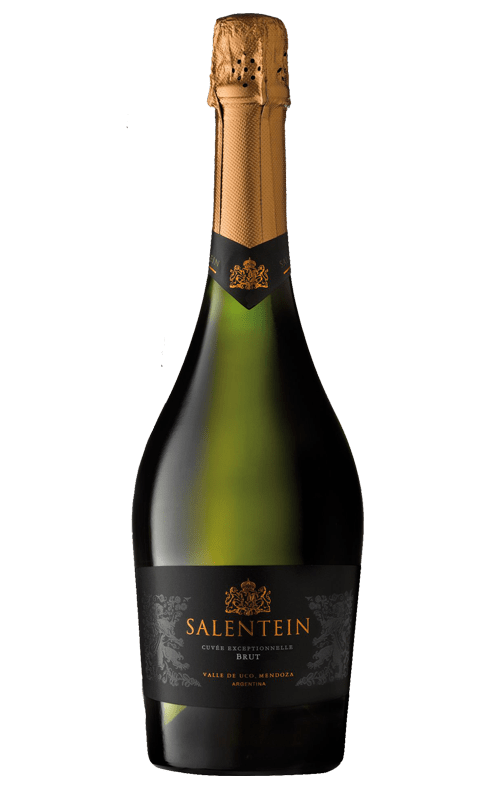 Salentein Sparkling Brut Uco Valley Mendoza Argentina